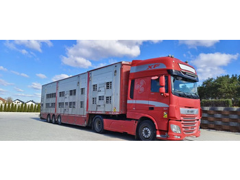  Pezzaioli SBA32/hydrauliczny  dach/hydrauliczna rampa/ 3 poziomy/ 2xbydło -3xtrzoda/wentylatory/poidła/sterowanie pilotem - Semirremolque transporte de ganado