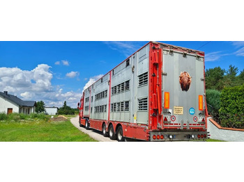  Pezzaioli SBA32/hydrauliczny dach/hydrauliczna rampa/ 3 poziomy/ 2xbydło -3xtrzoda/wentylatory/poidła/sterowanie pilotem - Semirremolque transporte de ganado