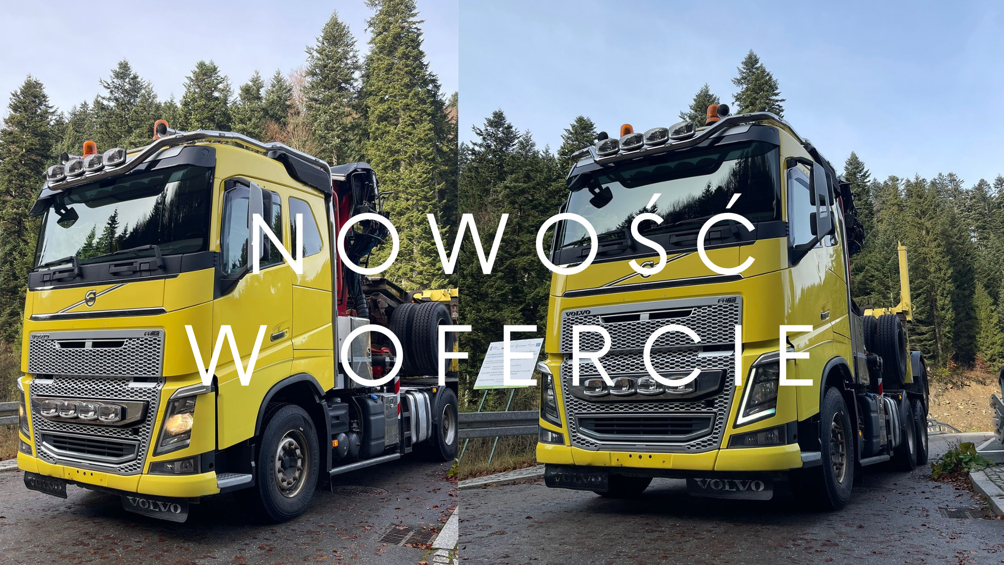 JANUSZKI SC - anuncios sobre venta undefined: foto 2