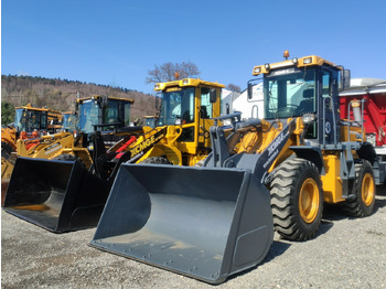 Cargadora de ruedas XCMG ZL30G