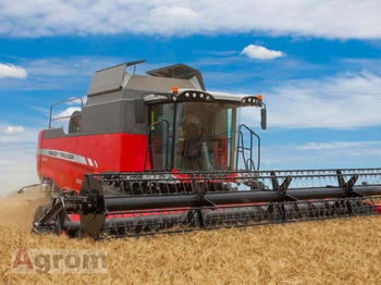 Cosechadora de granos MASSEY FERGUSON