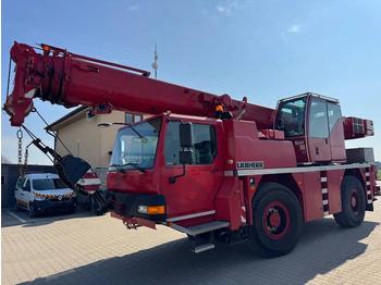 Grúa todo terreno LIEBHERR LTM 1030-2.1
