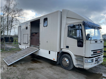 Camión para caballos IVECO