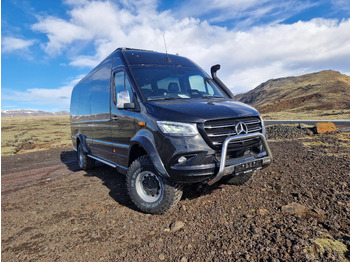 Minibús, Furgoneta de pasajeros MERCEDES-BENZ Sprinter 519 4x4 high and low drive: foto 4