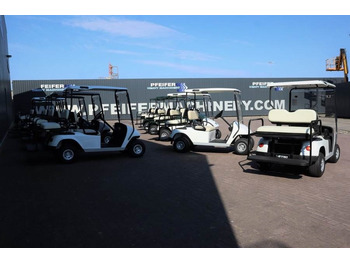 Carrito de golf BRINGO DG-C2 Valid Inspection, *Guarantee! Dutch R: foto 3