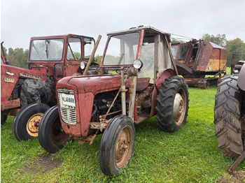 Tractor MASSEY FERGUSON