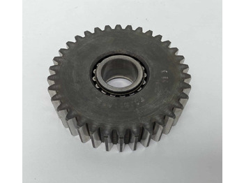 : imagen de cabecera