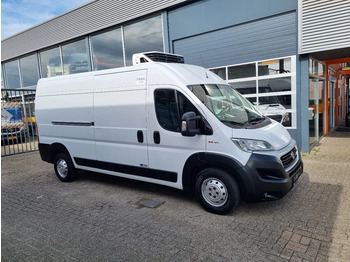 Furgoneta frigorifica FIAT Ducato Maxi