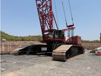 Grúa sobre orugas LIEBHERR