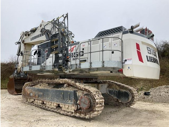 Leasing de  Liebherr R9150B Liebherr R9150B: foto 2