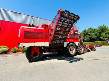 : imagen de cabecera