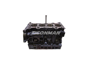 Bloque de cilindros IVECO Daily