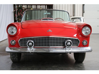 Descapotable Ford Thunderbird V8: foto 4 Descapotable Ford Thunderbird V8: foto 4