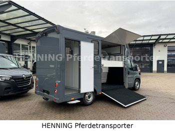 Camión para caballos Fiat Ducato *NEUWAGEN* ca.1100 kg Nutzlast: foto 3 Camión para caballos Fiat Ducato *NEUWAGEN* ca.1100 kg Nutzlast: foto 3