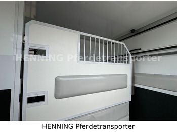 Camión para caballos Fiat Ducato *NEUWAGEN* ca.1100 kg Nutzlast: foto 5 Camión para caballos Fiat Ducato *NEUWAGEN* ca.1100 kg Nutzlast: foto 5