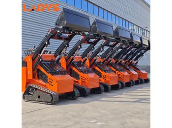 Minicargadora LADYS