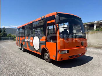 Autobús escolar IVECO