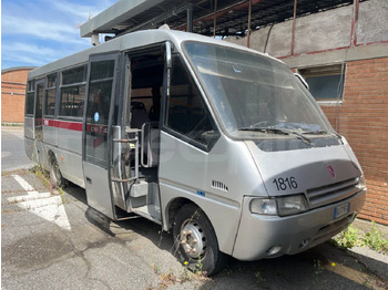 Autobús escolar IVECO