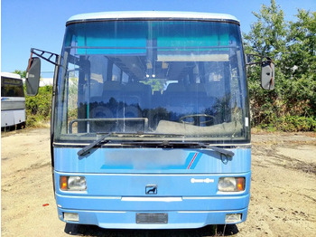 Autobús urbano MAN