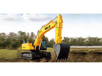 Excavadora de cadenas SDLG E6375H: foto 2