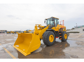 Cargadora de ruedas SDLG L958H: foto 5 Cargadora de ruedas SDLG L958H: foto 5