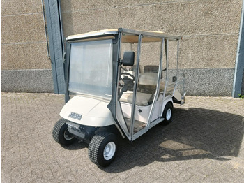 Carrito de golf