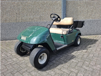 Carrito de golf