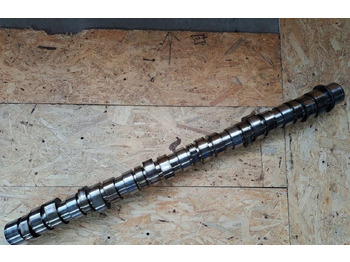 : imagen de cabecera