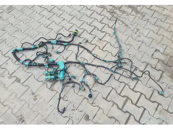 : imagen de cabecera