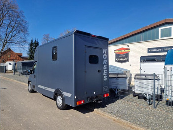 Camión para caballos MSG Stablehopper Pferdetransporter Pferdeanhänger Böckmann: foto 4