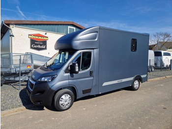 Camión para caballos MSG Stablehopper Pferdetransporter Pferdeanhänger Böckmann: foto 2