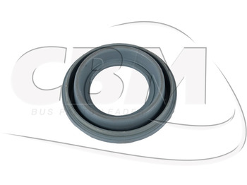 Pinza de freno IRISBUS