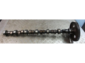 : imagen de cabecera