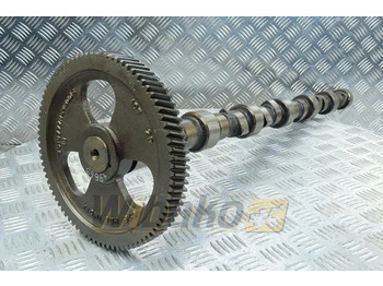 Árbol de levas CUMMINS