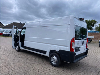 Furgón Opel Movano Cargo: foto 3 Furgón Opel Movano Cargo: foto 3