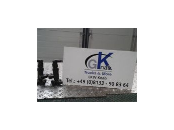 Suspensión neumática MAN TGL