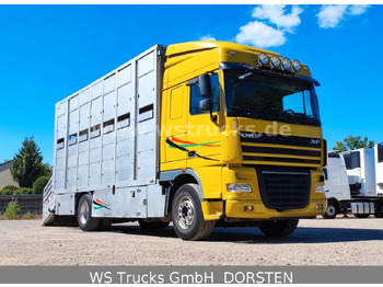 Camión para caballos DAF XF 410 SC Menke Doppelstock: foto 3