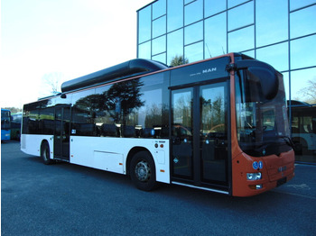 Autobús urbano MAN Lion's City