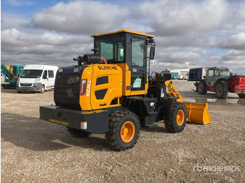 Cargadora de ruedas 2025 BLANCHE TW36 Wheel Loader: foto 3