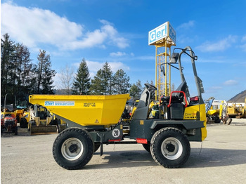 Minidumper NEUSON