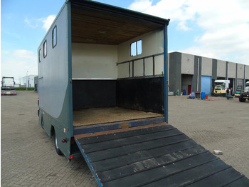 Camión para caballos MAN 10 .150 + 2-3 HORSES + MANUAL: foto 2