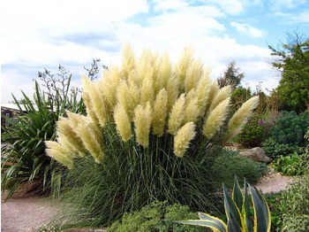 Maquinaria agrícola