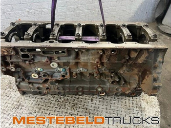 Motor y piezas DAF