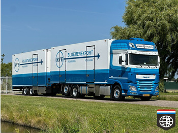 Camión frigorífico DAF XF 460