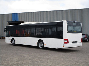 Autobús urbano MAN Lions City, A21, Euro 6, A/C, 39 Sitze: foto 2