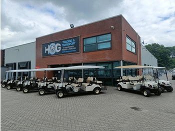 Carrito de golf