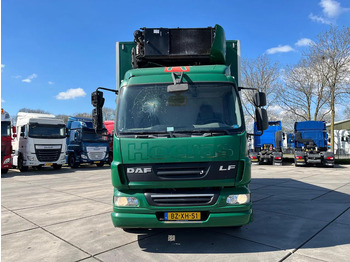 Camión frigorífico DAF LF 55 FA: foto 2