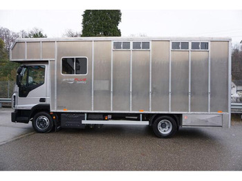 Leasing de Iveco EUROCARGO 80-190 Lószállító Iveco EUROCARGO 80-190 Lószállító: foto 4