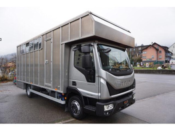 Leasing de Iveco EUROCARGO 80-190 Lószállító Iveco EUROCARGO 80-190 Lószállító: foto 3