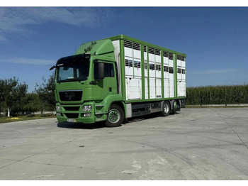 Camión transporte de ganado MAN TGS 26.440